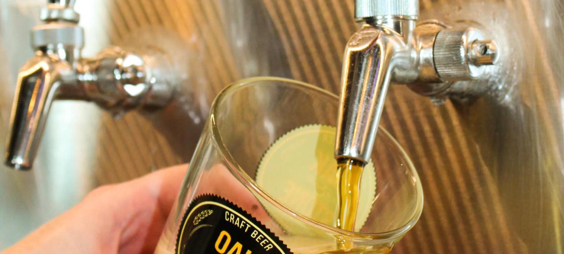 exclusive snowbird german pilsner beer
